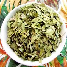 FOLHA DE LARANJEIRA 100g